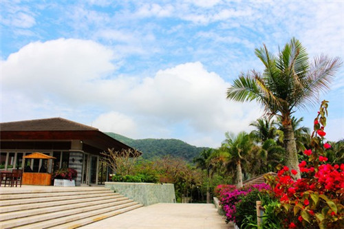 张成荣电烤鸡架