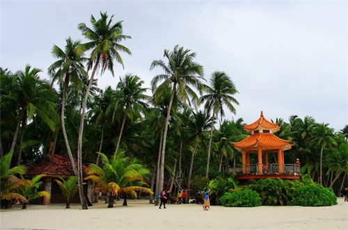 重庆陶师傅渣渣老火锅