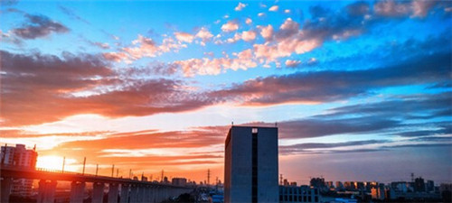 宠物用品店怎么开网店，网店创业宠物用品店怎么样