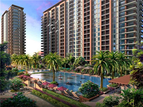 青笋炒木耳素炒芹菜做法（青笋炒木耳怎样炒）