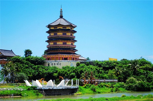 瓜豆炒尖辣椒怎么炒好吃（瓜尖炒红豆）