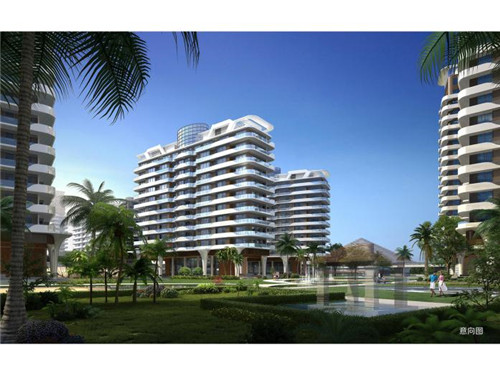 宠物店端午节做什么活动（宠物店端午节放假吗）