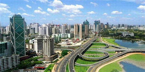 牛肉炒丝瓜苗怎么炒（牛肉炒丝瓜苗怎么炒的）