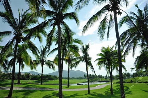 抖音买货怎么看（抖音买货怎么看取件码）