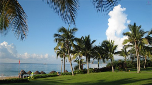 福安市创业2026学生奶连锁店网红品牌有哪些