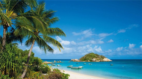 沙棘血肽营养素饮品自营（沙棘肽口服液）